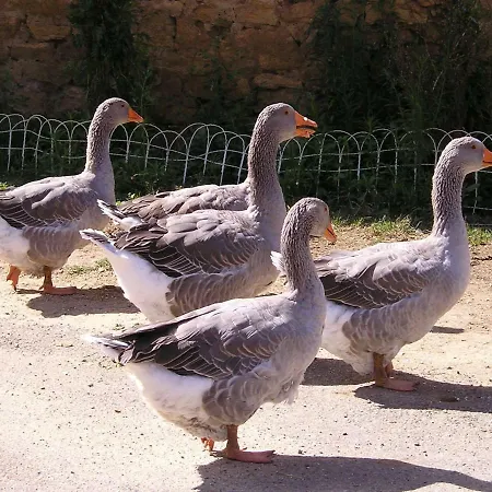 Lejlighed Locations Secretes